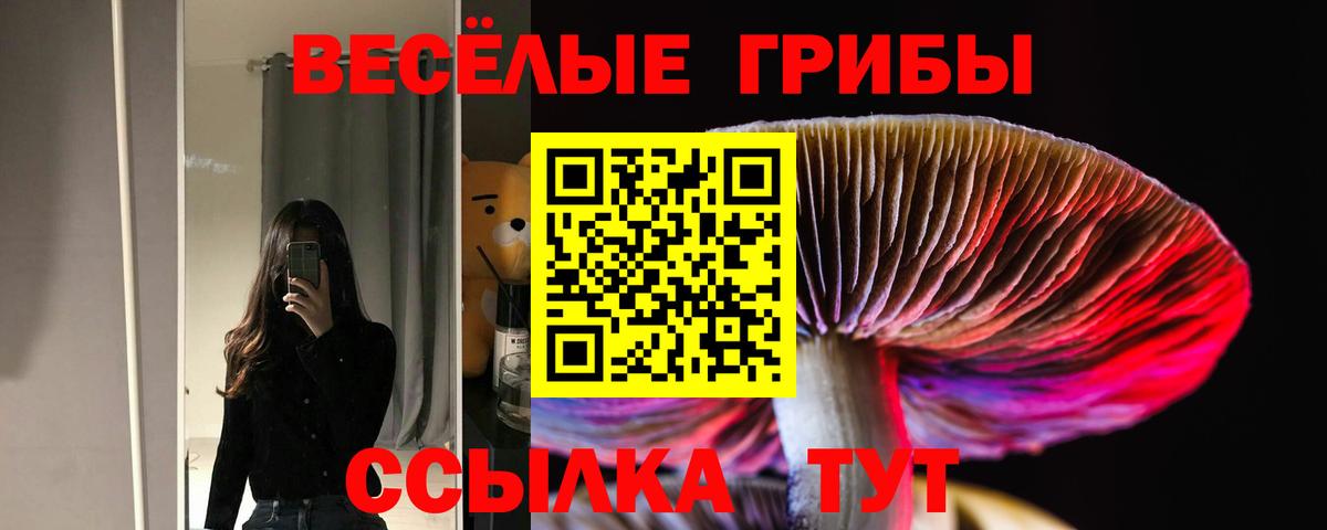 Галлюциногенные грибы прущие грибы Миасс